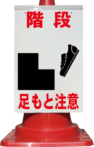 csn08