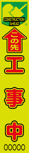 sap06