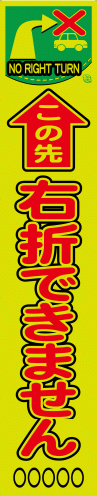 sap55