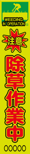 sap78