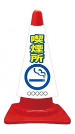 ccv005a