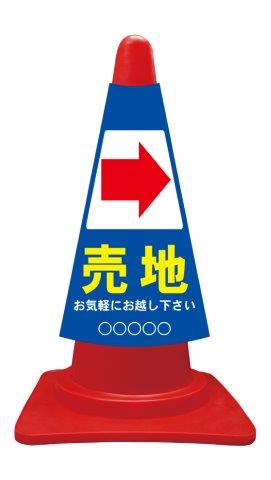ccv019r