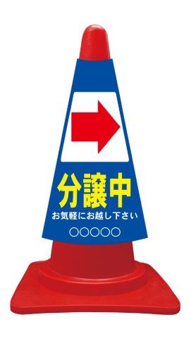 ccv020r