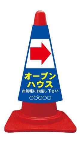 ccv021r