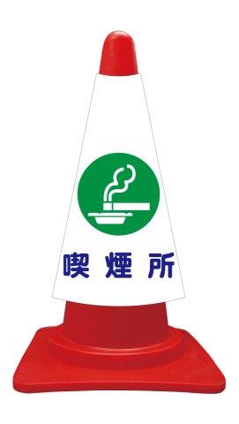ccvk011
